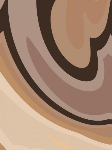 Chocolate Swirl