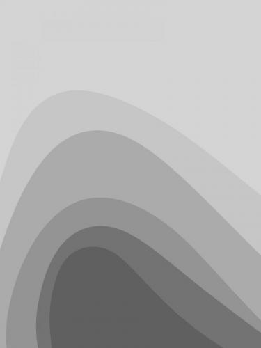 Mimic Gray(Mobile)