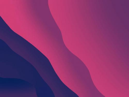 Hot Pink and Dark Blue