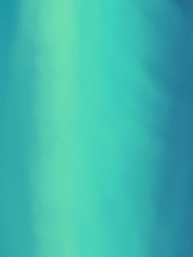 Rainforest(Mobile)