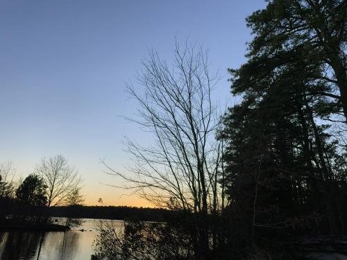 Sunset with Trees